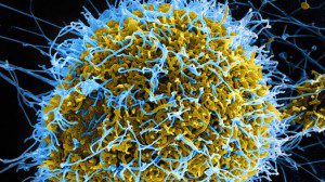 EBOLA