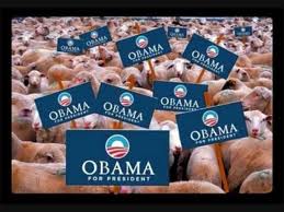 OBAMA'S SHEEP