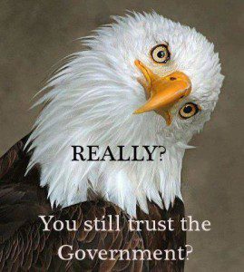 bald-eagle-doesnt-trust-the-govt